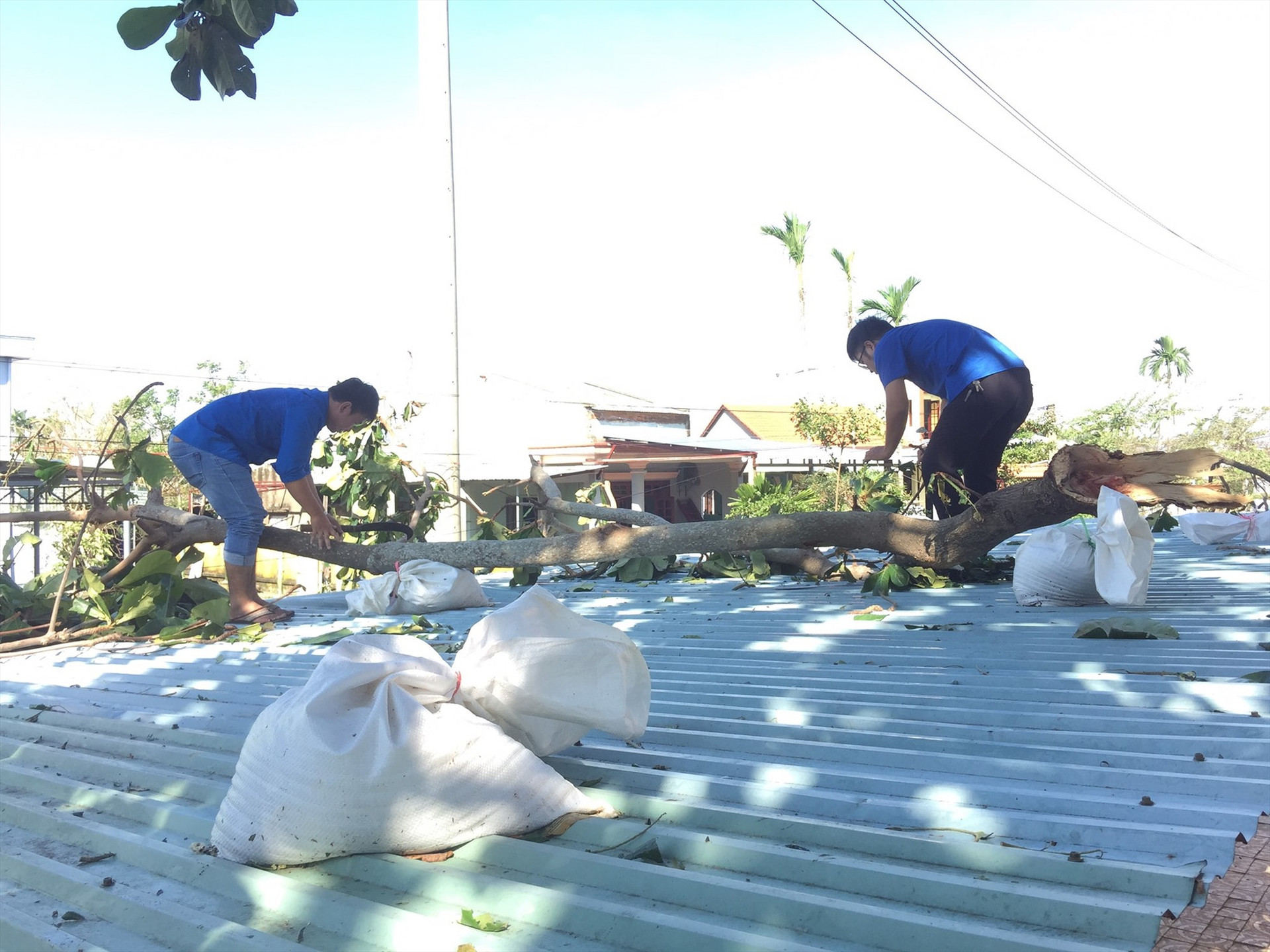 Đoàn viên thanh niên xã Điện Phước hỗ trợ dọn dẹp cây cối ngã đổ. Ảnh: CTV