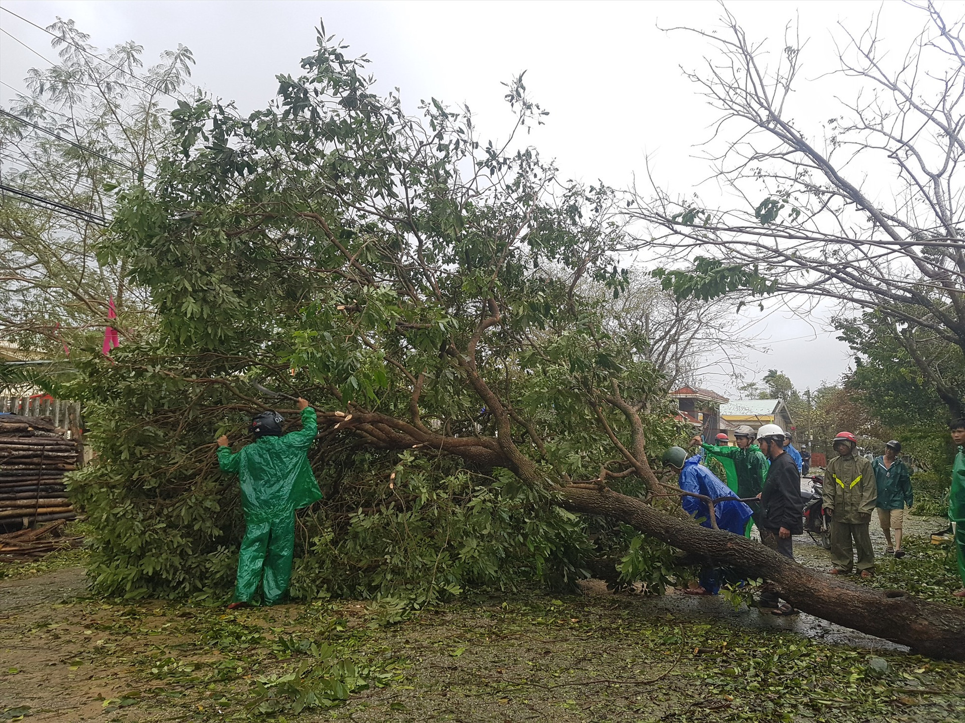 Các tuyến giao thông trên địa bàn huyện Tiên Phước bị ách tắt do cây cối ngã đổ ra đường. Ảnh: DIỄM LỆ