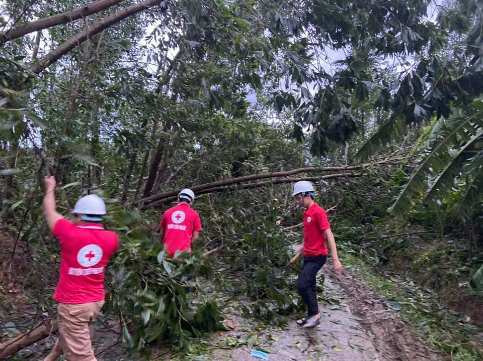 Hội Chữ thập đỏ huyện Tiên Phước cưa cây ngã đổ, chắn ngang quốc lộ 40B. Ảnh: Hội CTĐ tỉnh cung cấp.