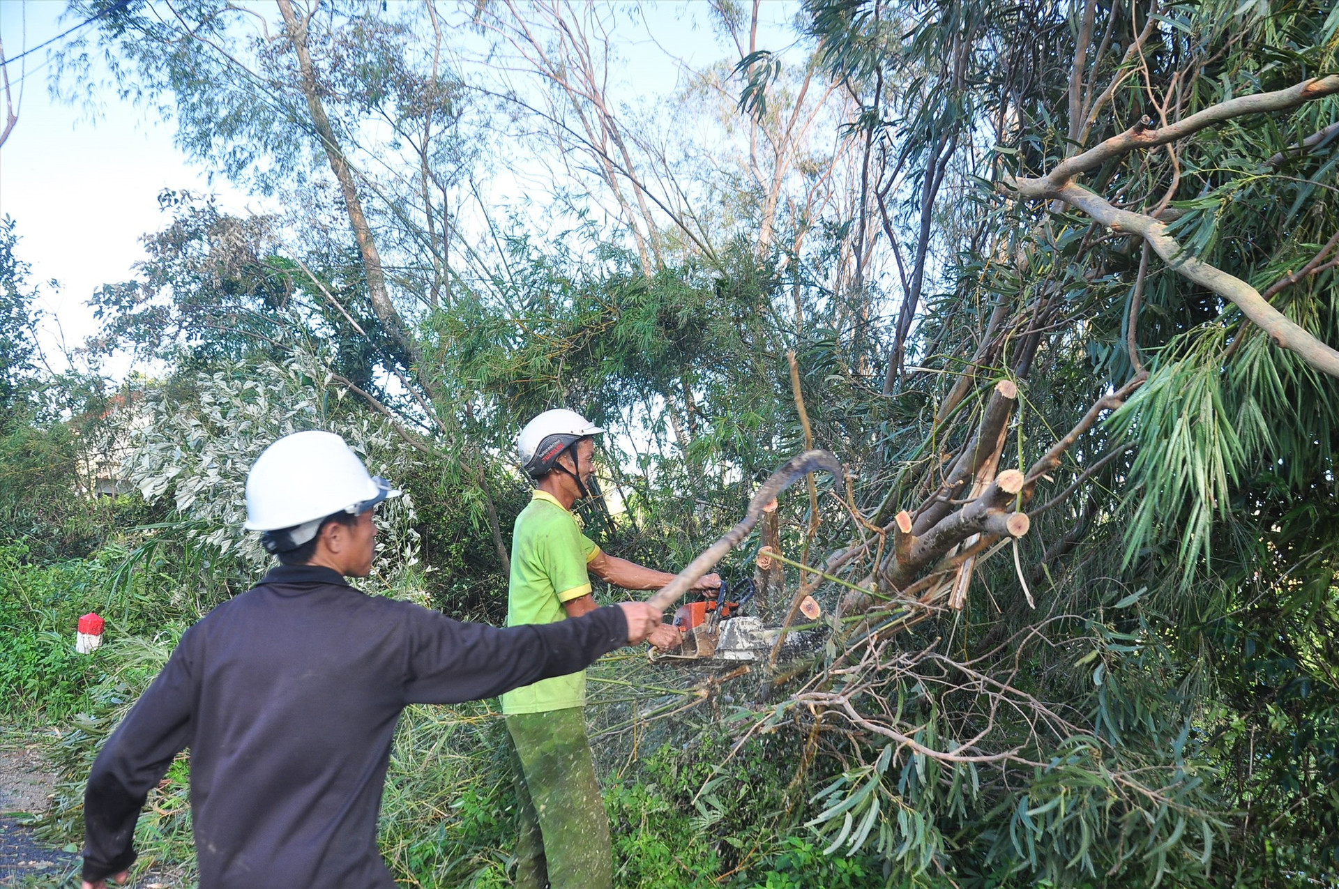 Lực lượng chức năng huyện Phú Ninh đang nỗ lực khắc phục sự cố bão số 9. Ảnh: VINH ANH