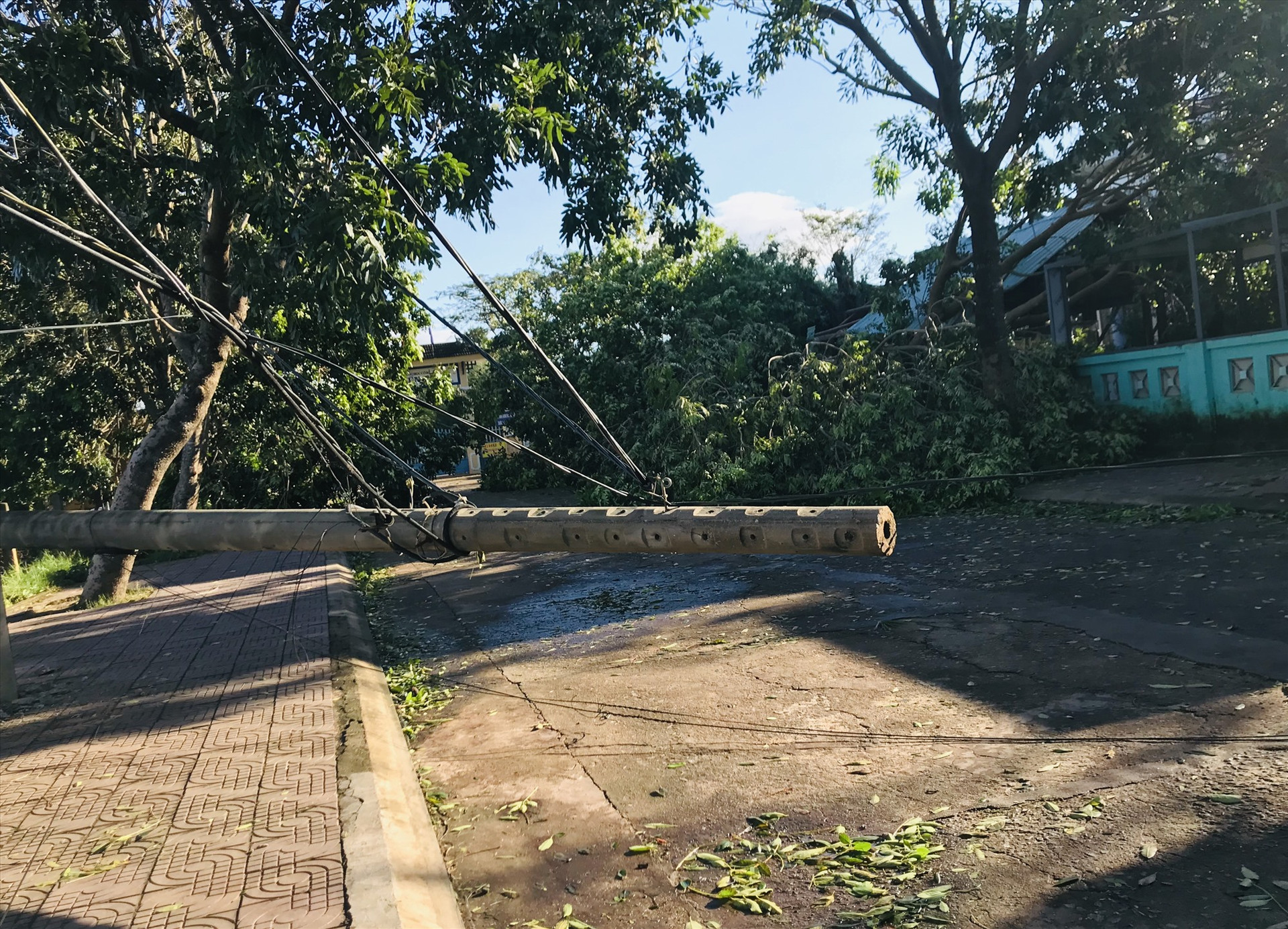 Trụ điện và cây xanh ngã đổ chắn lối vào Trường THCS Nguyễn Du (Tam Kỳ)