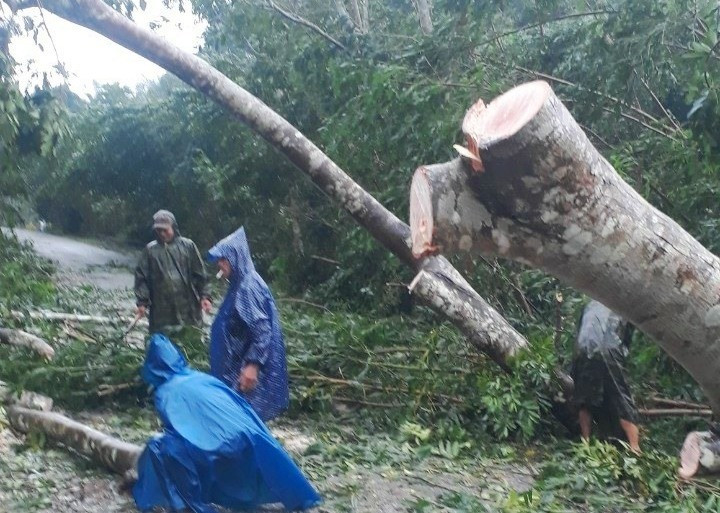 Lực lượng chức năng huyện Tiên Phước khắc phục sự cố cây cối ngã đổ khôi phục giao thông. Ảnh: Trà My