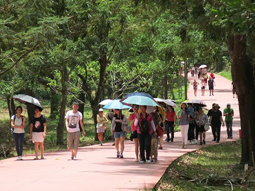 Tourists in Quang Nam