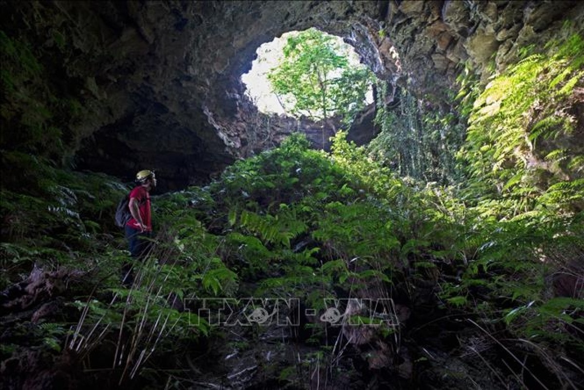 The mouth of volcanic cave C7 of Dak nong Global Geopark. (Photo: VNA)