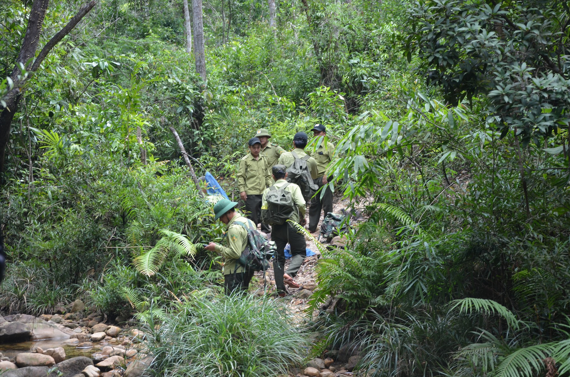 Lực lượng bảo vệ rừng chuyên trách tuần tra trong Khu bảo tồn loài và sinh cảnh voi Nông Sơn. Ảnh: H.P