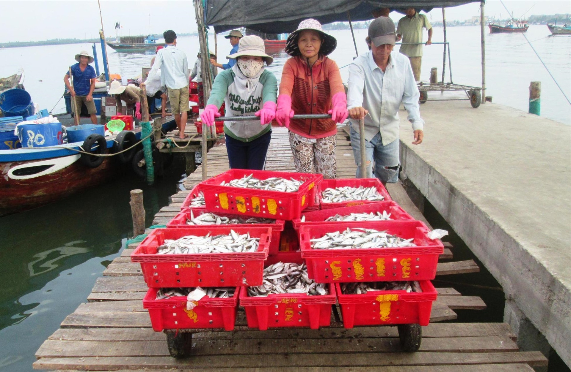 Trong 10 tháng đầu năm nay, tổng sản lượng hải sản ngư dân trên địa bàn tỉnh khai thác đạt khoảng 87.854 tấn, tăng 3.234 tấn so với cùng kỳ năm ngoái. Ảnh: VĂN SỰ