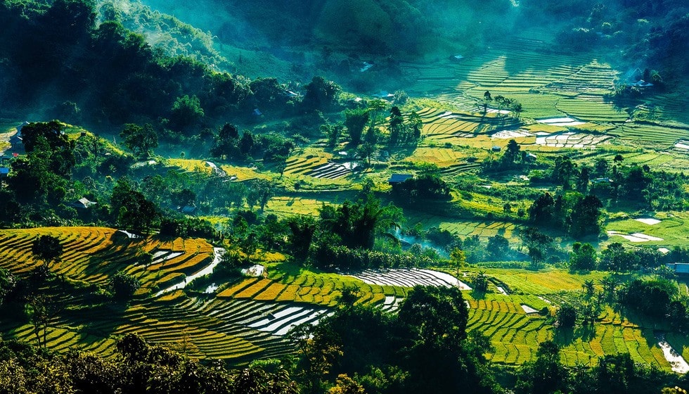 Terraced fields in the west part of Quang Nam province