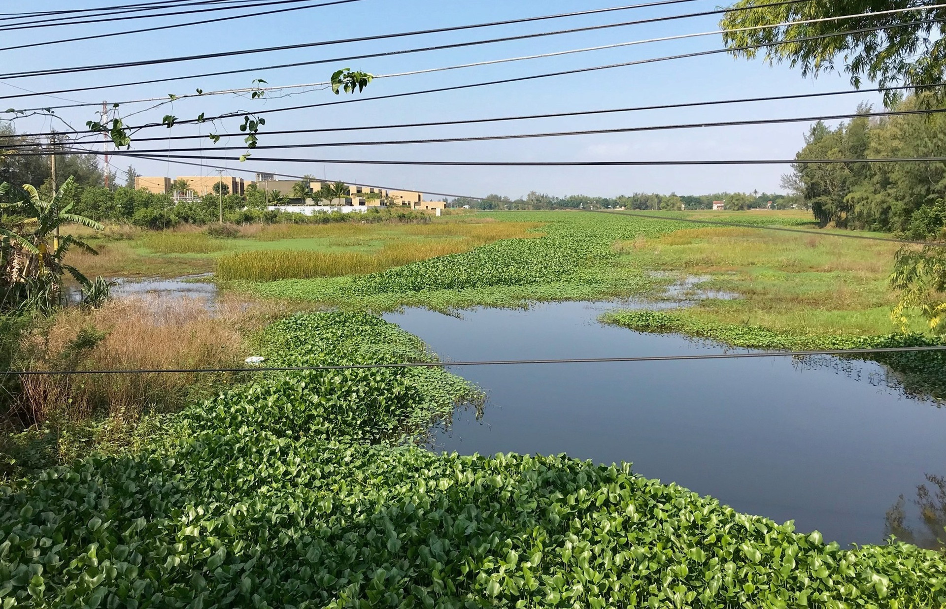 Sông Cổ Cò đoạn qua thị xã Điện Bàn vẫn đang bị tắc. Ảnh: Q.T