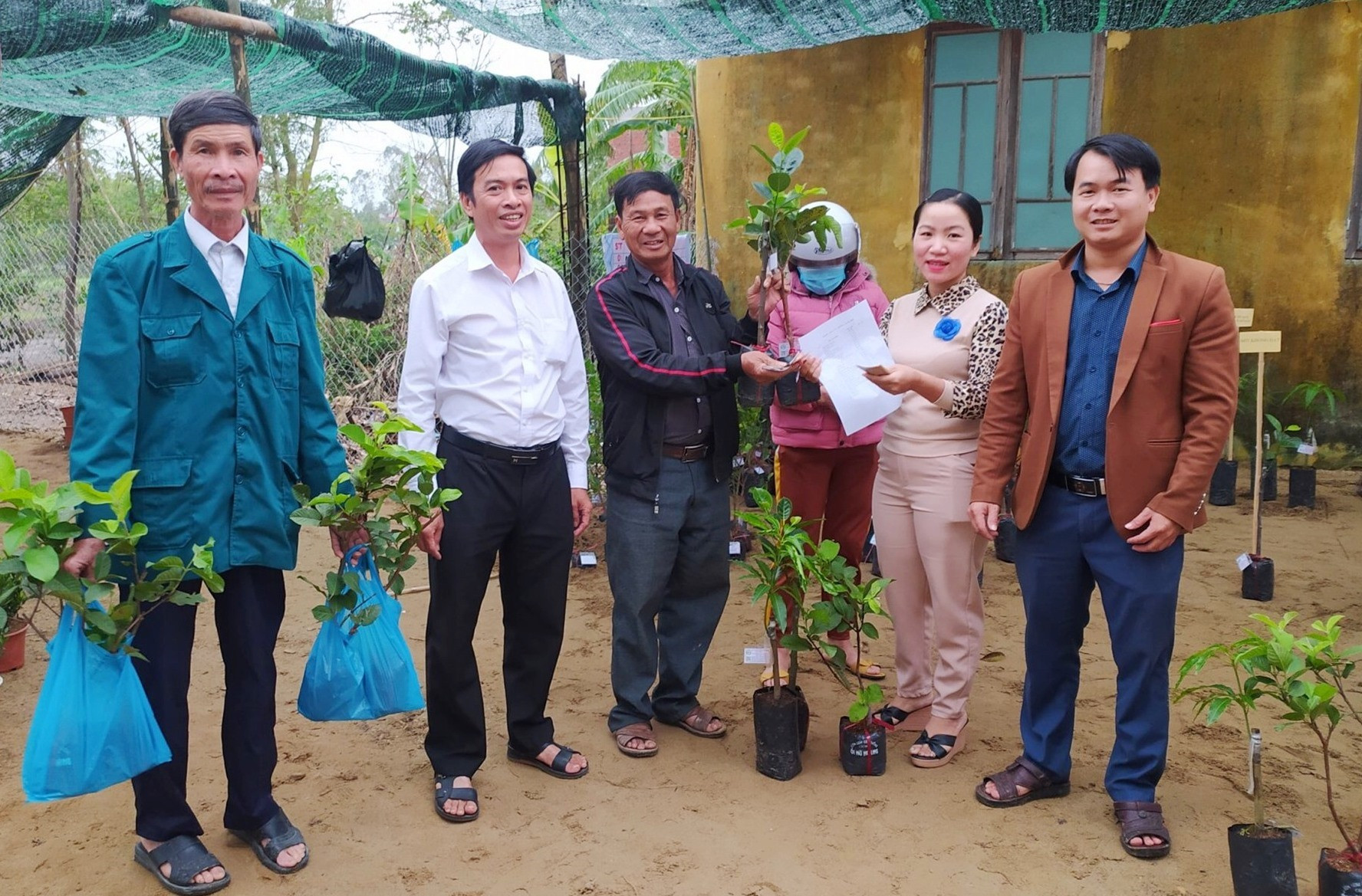Nông dân phường Điện An chọn mua cây giống