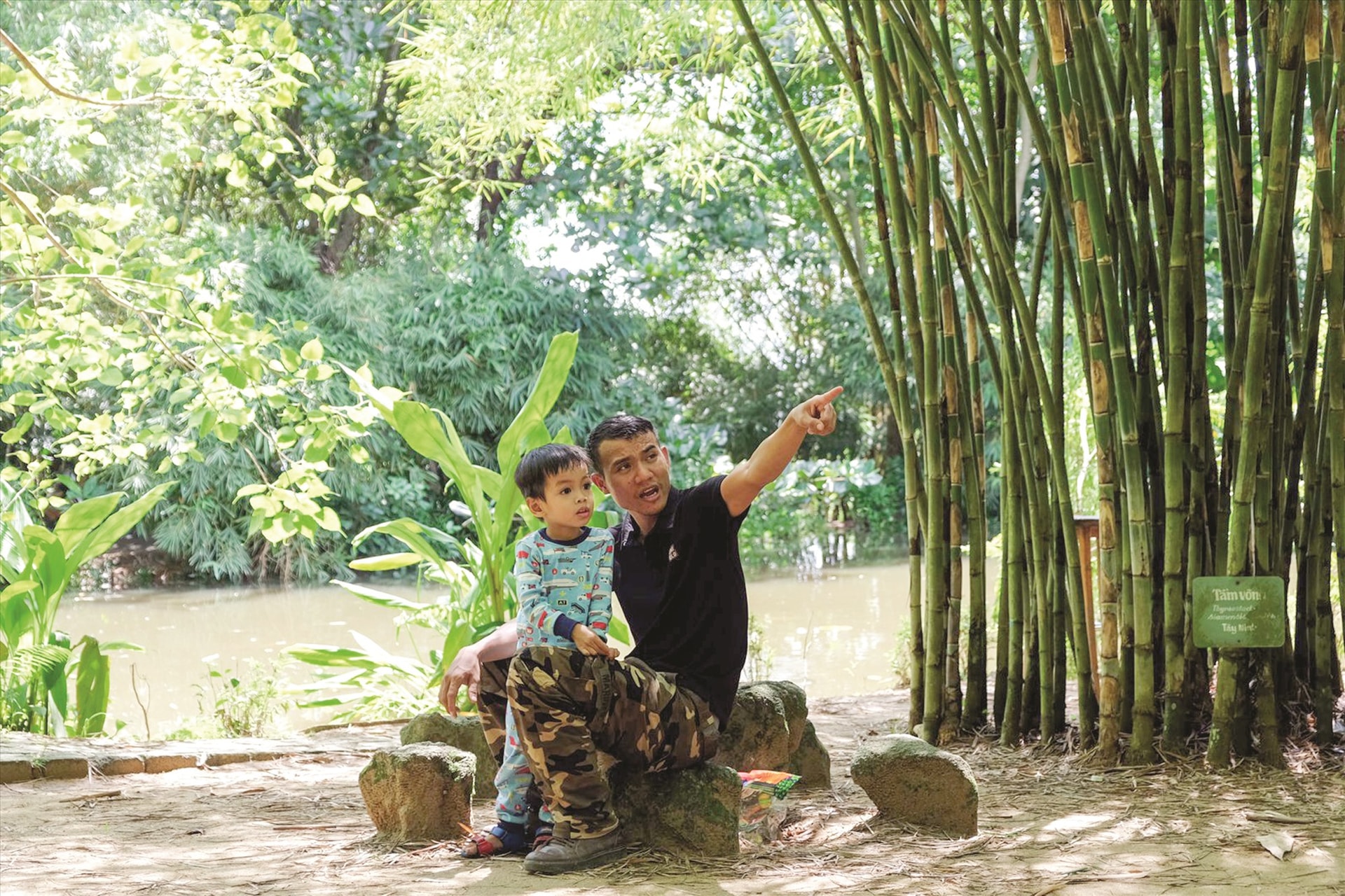 Mỗi ngày có hàng trăm lượt người tìm đến vườn tre để dạo chơi, ngắm cảnh.