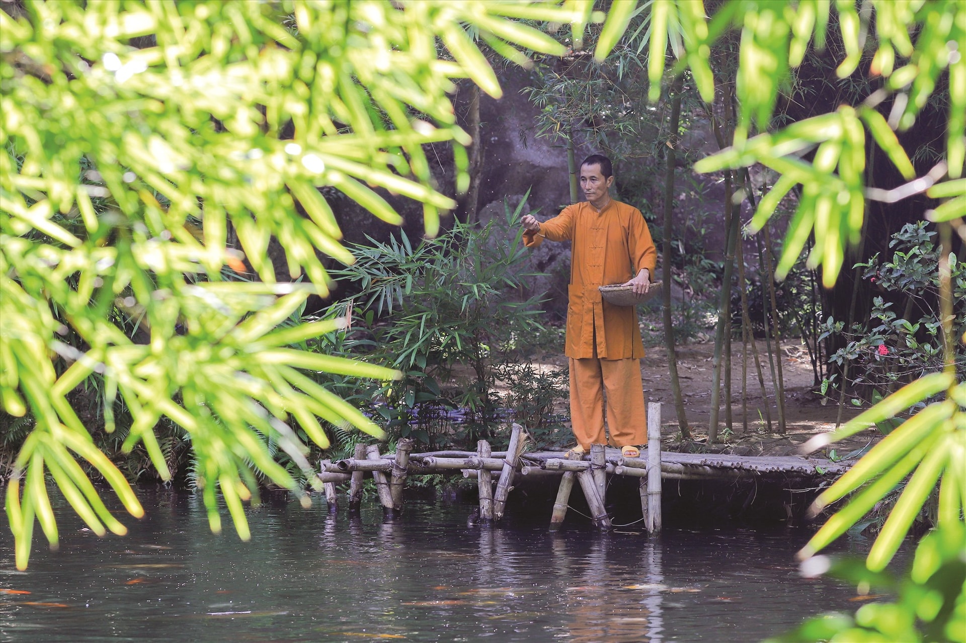 Chọn vườn tre làm nơi tu hành, mỗi ngày thầy Thích Thế Tường có những khoảng không gian tĩnh tâm, thong dong tự tại. Ông đào thêm ao cá, trồng tre xung quanh để tạo thêm điểm nhấn cho khu vườn.