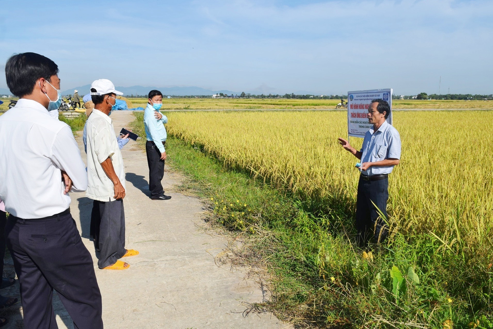 CSA model of rice in Thang Binh