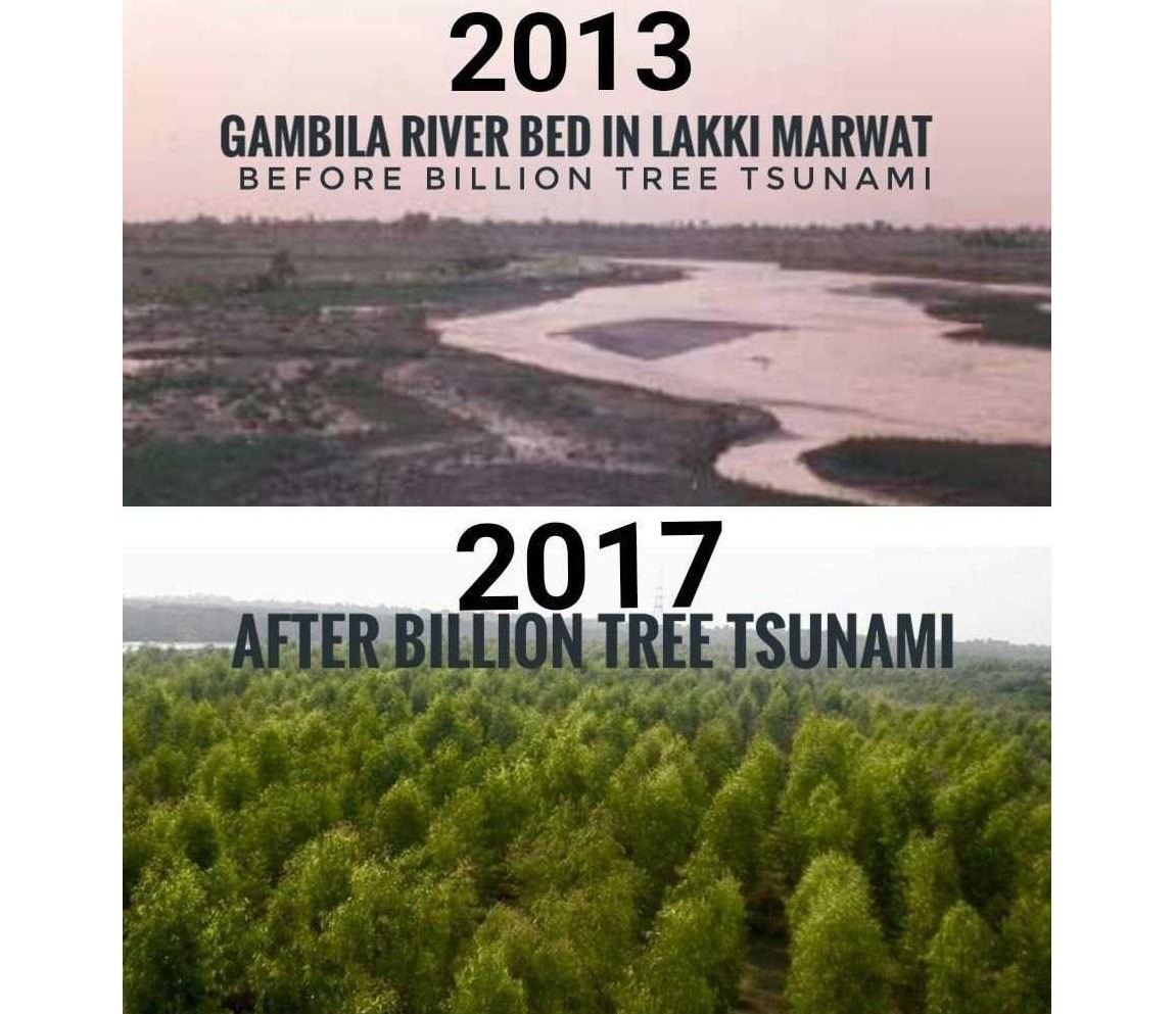 Bức ảnh so sánh trước và sau chương trình trồng 1 tỷ cây xanh tại một ven sông ở Pakistan. Ảnh: internet