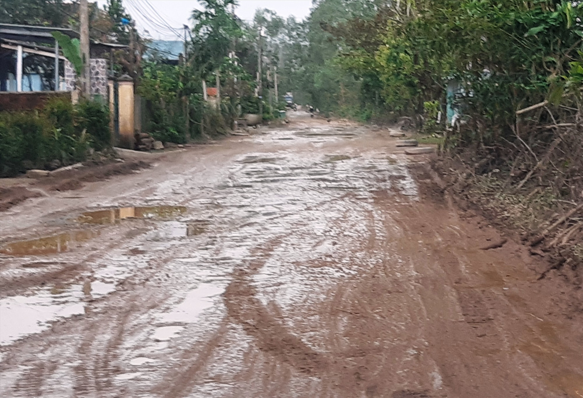 Một đoạn đường ĐH3 chạy dài từ xã Tam Anh Nam, Tam Thạnh, Tam Sơn lầy lội, trơn trượt, khó khăn cho việc lưu thông. Ảnh: HOÀNG LIÊN