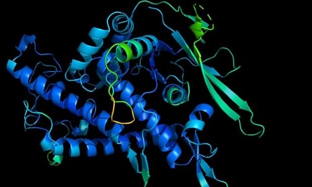 Mạng trí tuệ nhân tạo của DeepMind có thể suy ra hình dạng 3D của protein từ chuỗi axit amin của nó. Ảnh: DeepMind