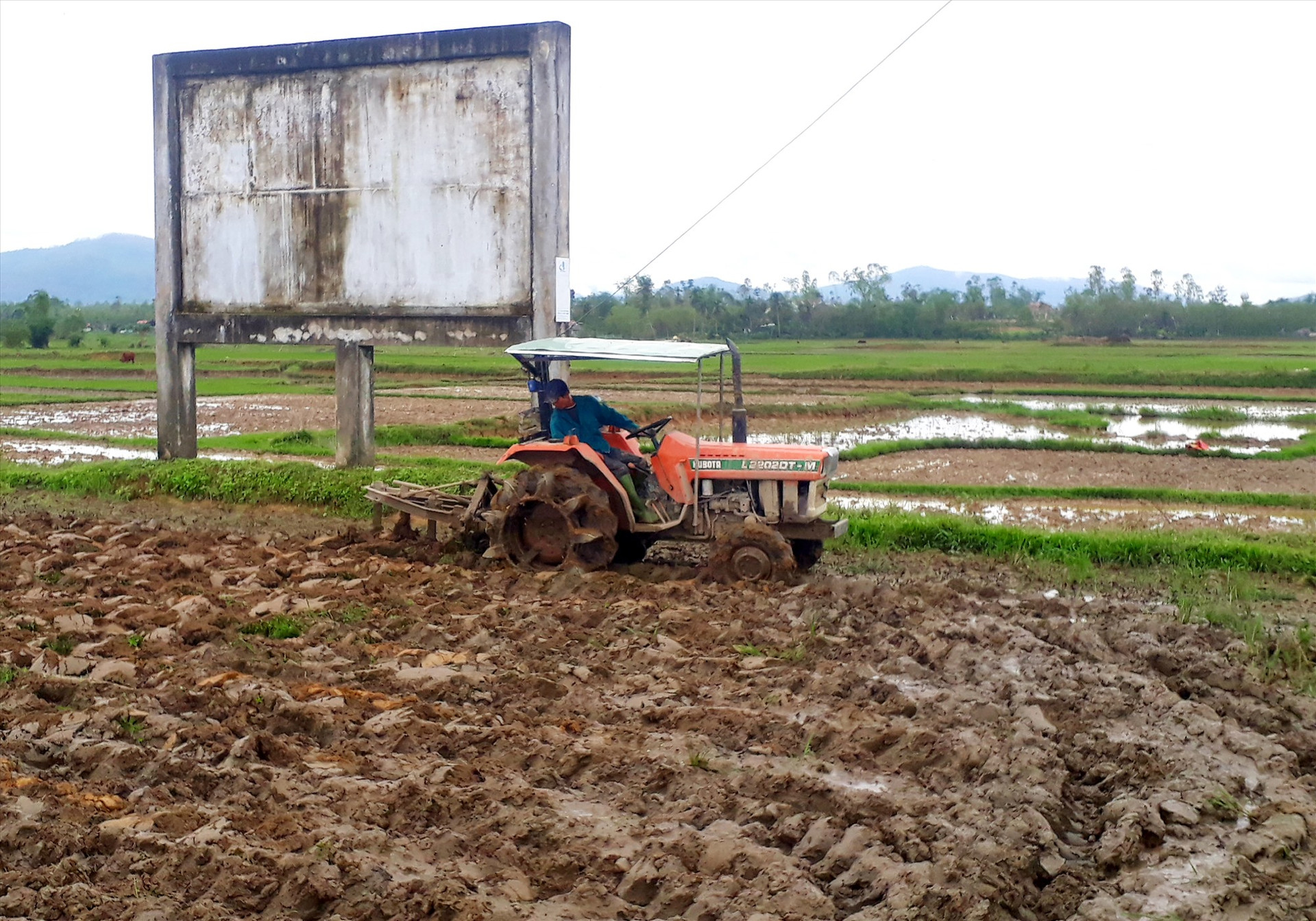 Những ngày qua, nông dân trên địa bàn tỉnh khẩn trương làm đất để triển khai gieo sạ vụ đông xuân 2020 - 2021. Ảnh: VĂN SỰ