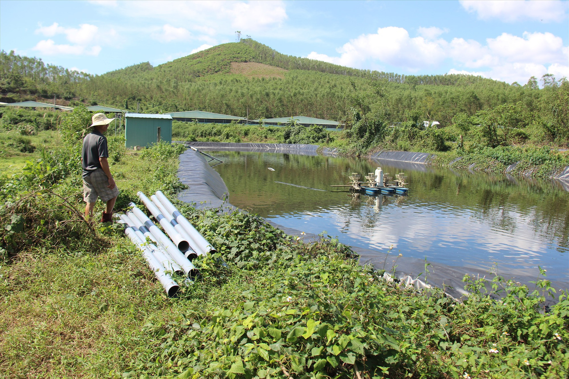 Khu vực hồ chứa nước thải của trại chăn nuôi heo ở thôn Trung Sơn, xã Tam Mỹ Tây. Ảnh: HOÀI AN