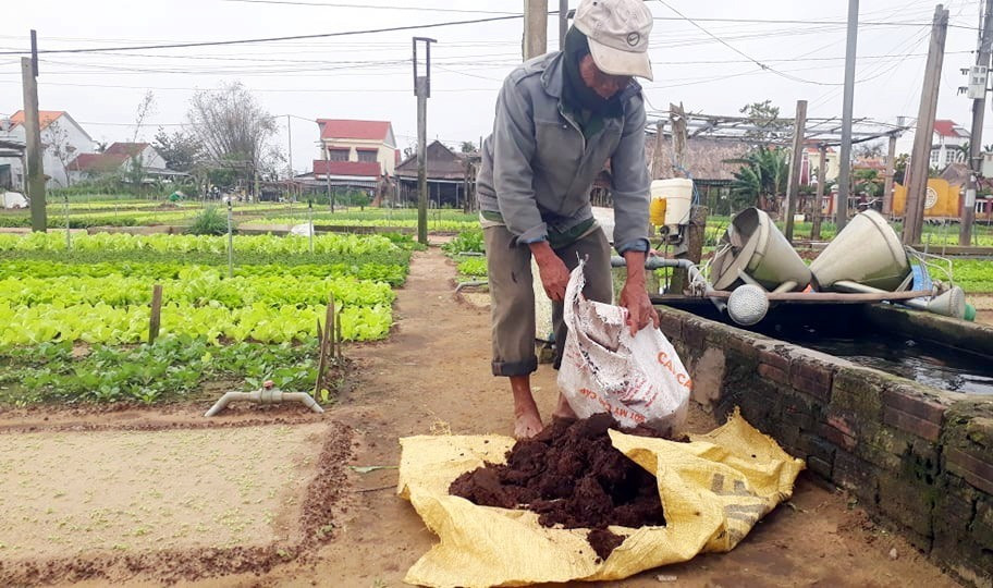 Ông Nguyễn Lên đang chuẩn bị phân bón rau vụ tết tại thôn Trà Quế.