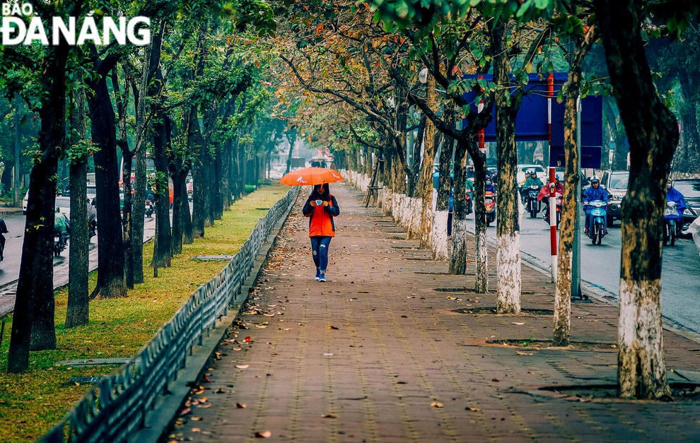  Hà Nội, một ngày mưa phùn lất phất bay.