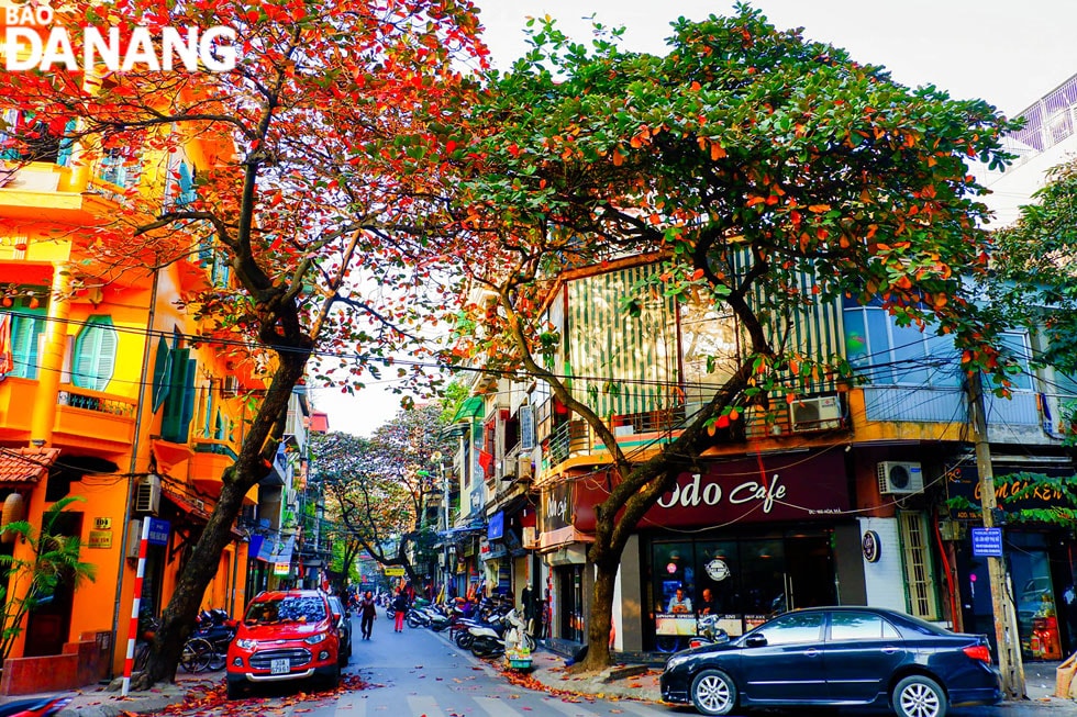 Sắc phố.