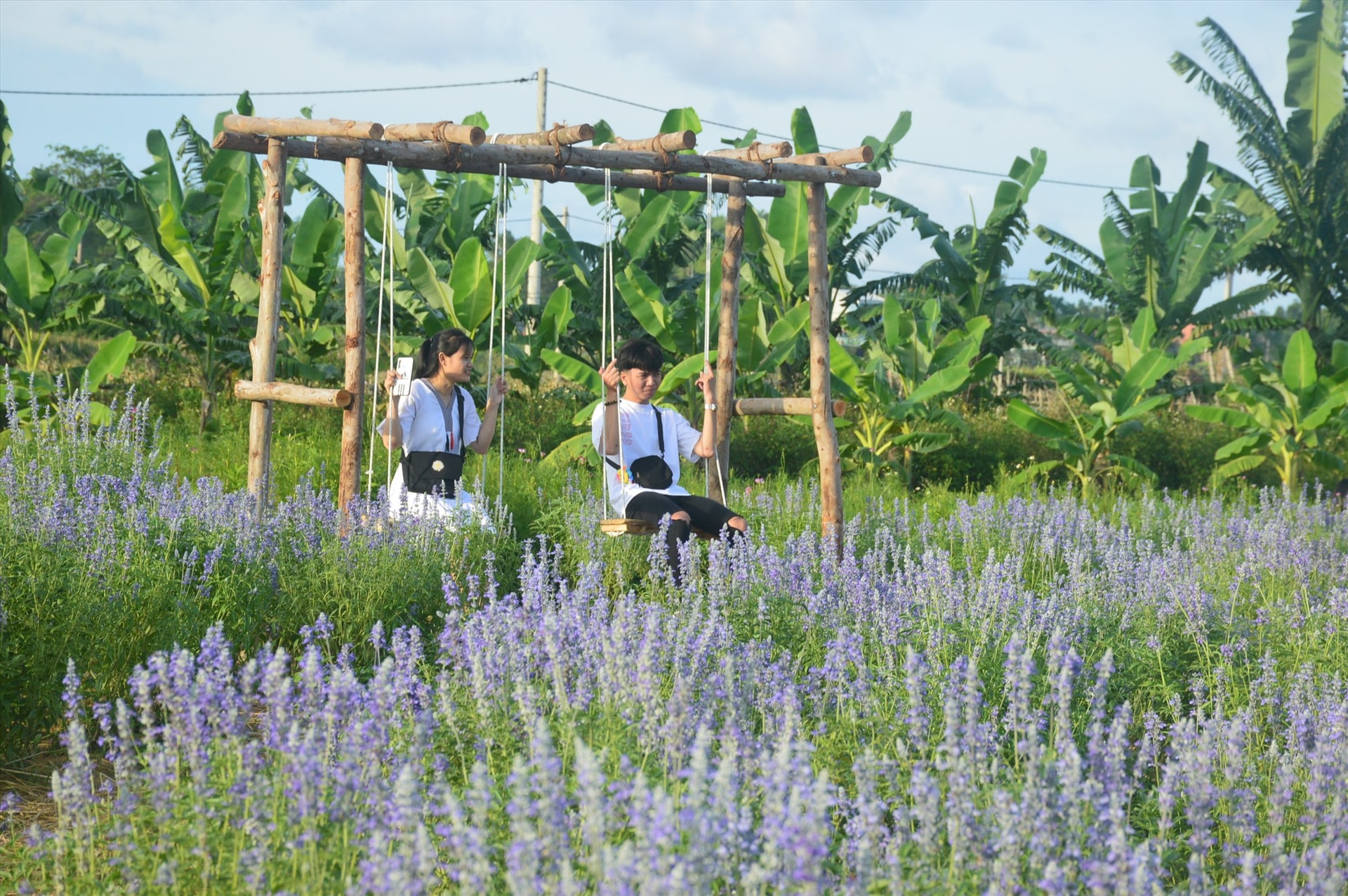 Các chủ thể phát triển farmstay cần tạo ra sự khác biệt trong sản phẩm để thu hút du khách. Ảnh: Q.T