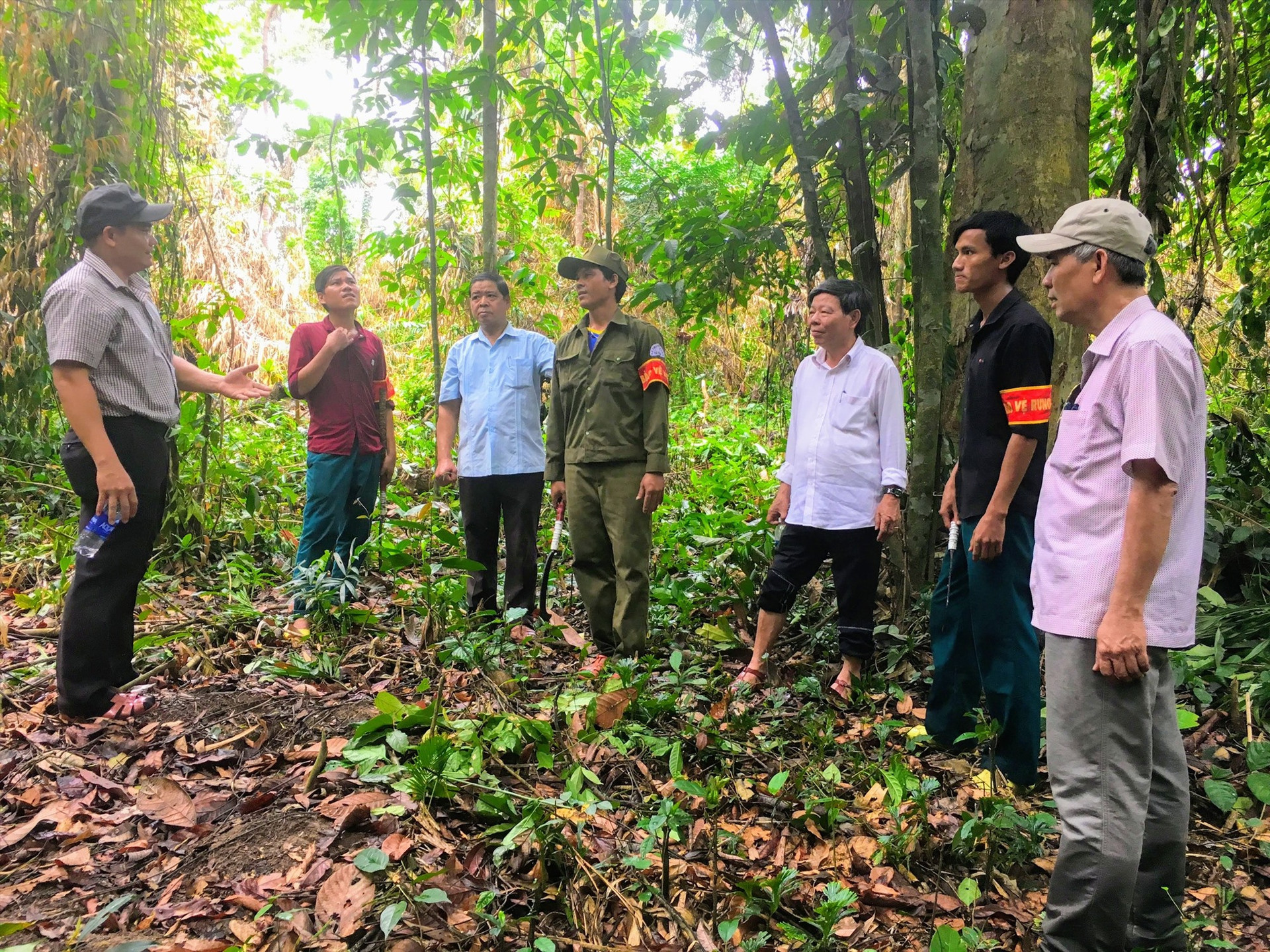 Giao cho hộ dân bảo vệ rừng và phát triển sinh kế dưới tán rừng là cách làm phù hợp để thoát nghèo bền vững ở miền núi.