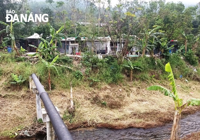 Dọc tuyến đường nhánh suối Đá (cạnh Trạm cấp nước sạch Thọ Quang) hiện có hàng chục ngôi nhà cấp 4 được người dân xây dựng trái phép trên đất rừng. Ảnh: ĐẮC MẠNH