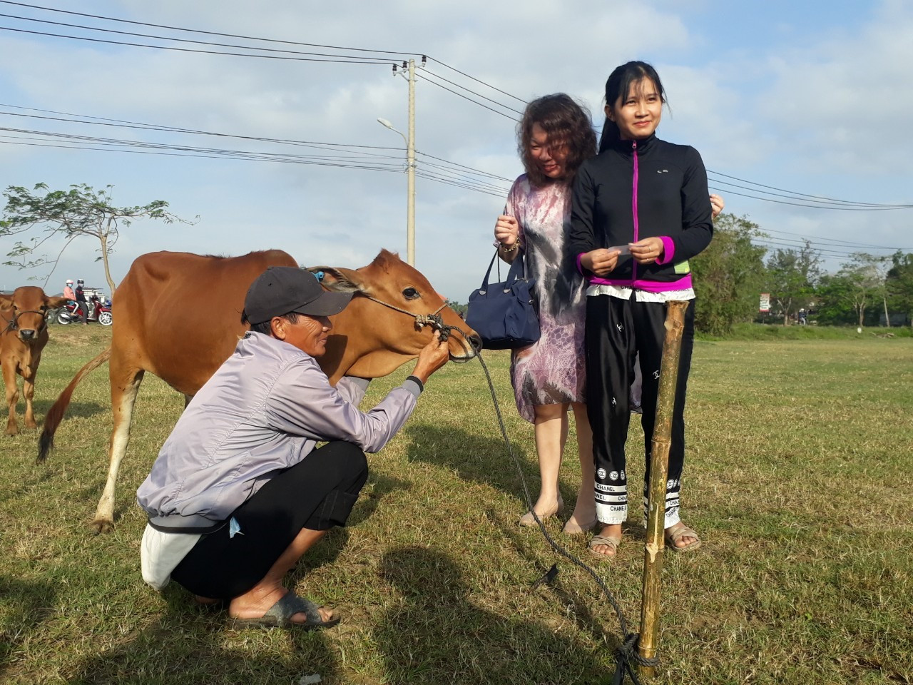 Mạnh thường quân trao tặng bò giống cho người dân có hoàn cảnh khó khăn xã Cẩm Thanh.