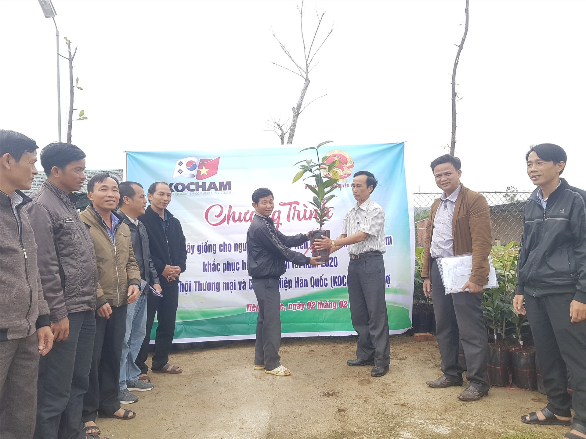 Đại diện người dân được hỗ trợ nhận cây giống từ Phòng NN&PTNT huyện Tiên Phước. Ảnh: D.L