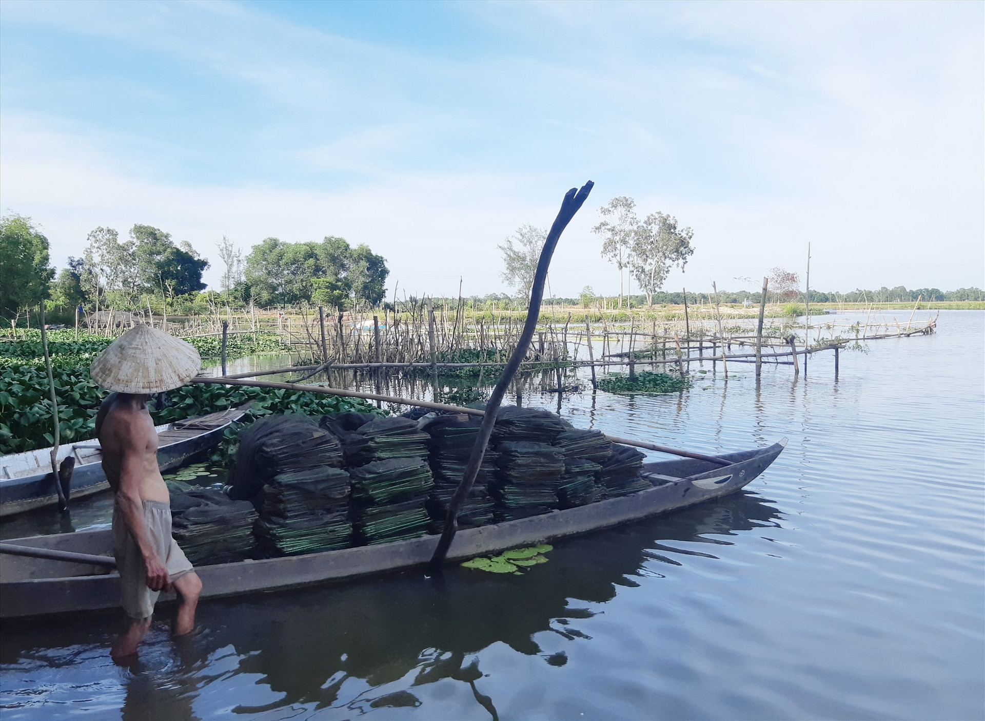 Nghề chươm trên sông Đầm, xã Tam Thăng đem lại thu nhập đáng kể cho người dân. Ảnh: HOÀNG LIÊN
