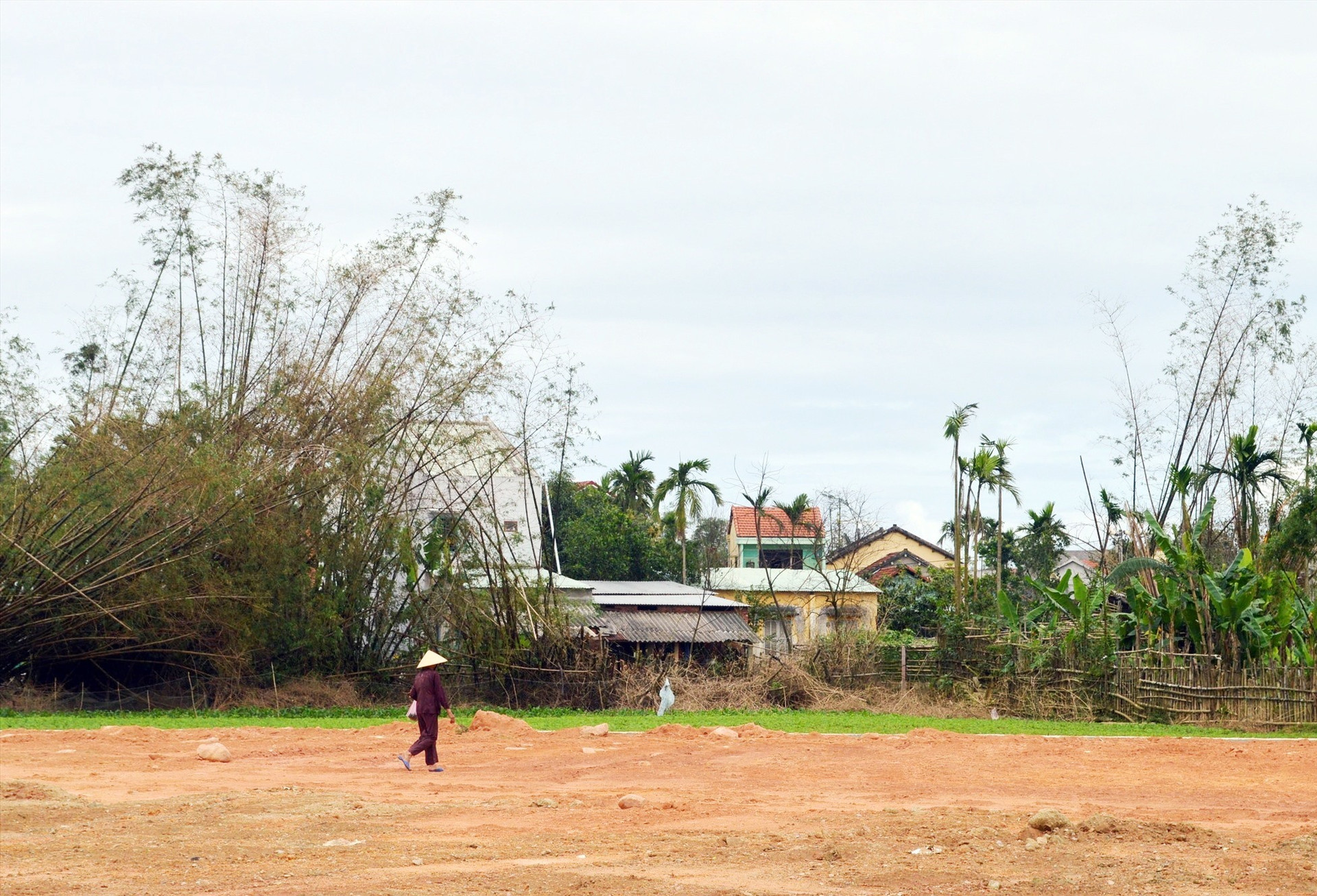 Nhiều ngôi làng điển hình xứ Quảng đang dần bê tông hóa biến thành đô thị