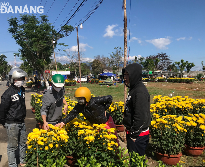 Các tiểu thương bán hoa trước Trung tâm hành chính quận Liên Chiểu chỉ còn một vài chậu cúc. Ảnh: M.QUẾ