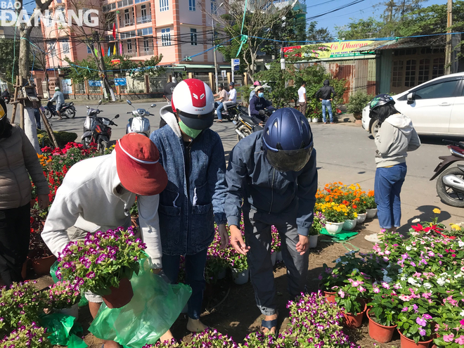 Chậu hoa treo có giá 40.000 đồng/chậu được người dân chọn mua