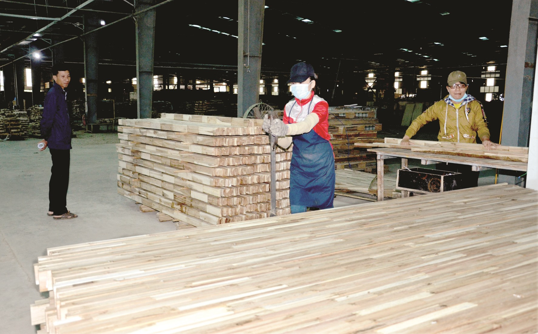 Chế biến gỗ tại nhà máy thuộc Công ty CP Gỗ công nghiệp Quảng Nam (xã Quế Thọ, Hiệp Đức). Ảnh: H.P