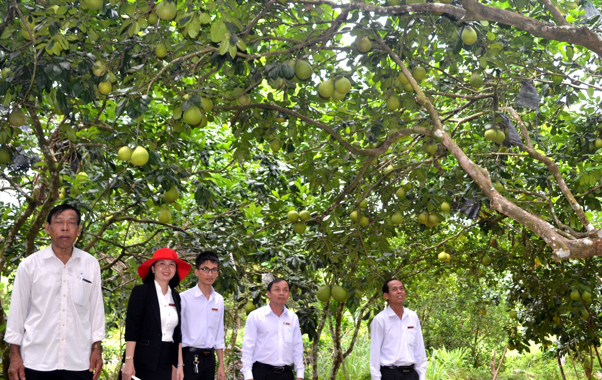 Agribank chi nhánh Quảng Nam đưa vốn về nông thôn giúp người dân phát triển kinh tế vườn. Ảnh: VIỆT NGUYỄN