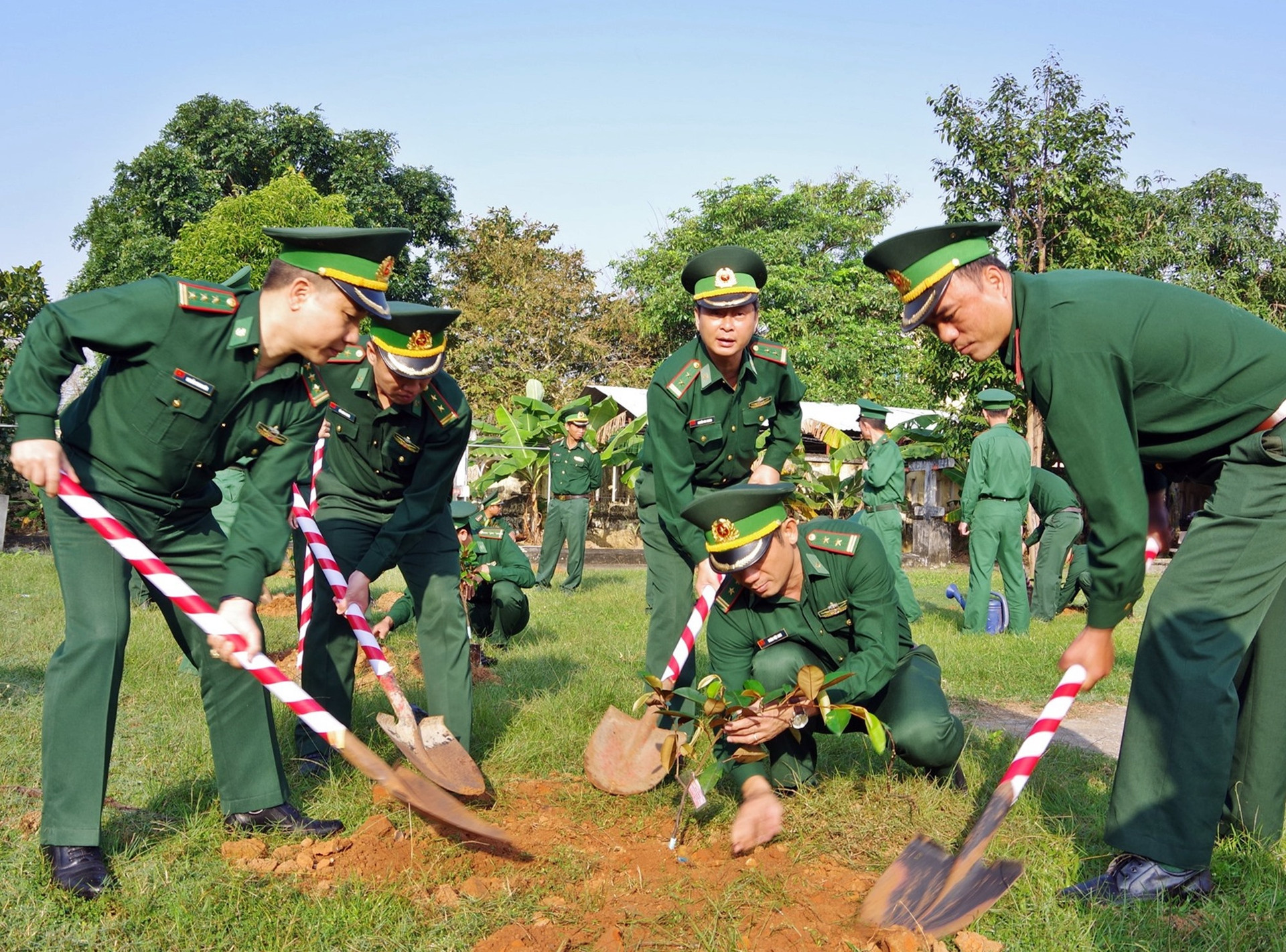 Bộ đội biên phòng thực hiện “Tết trồng cây” năm 2020. Ảnh: H.ANH