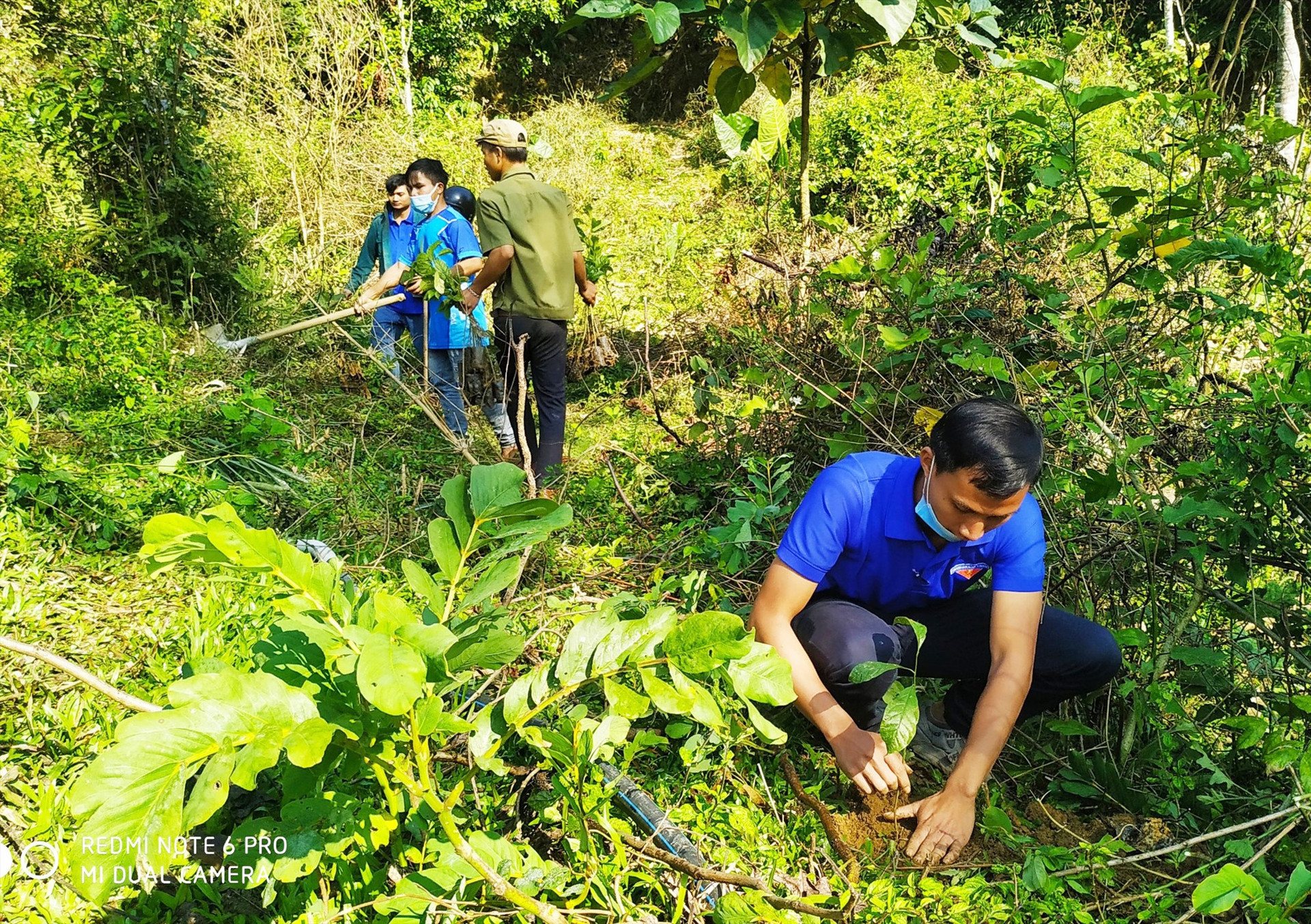 Đoàn viên thanh niên Nam Trà My tổ chức Tết trồng cây tại làng Cheng Tong, thôn 1, Trà Cang. Ảnh: V.K