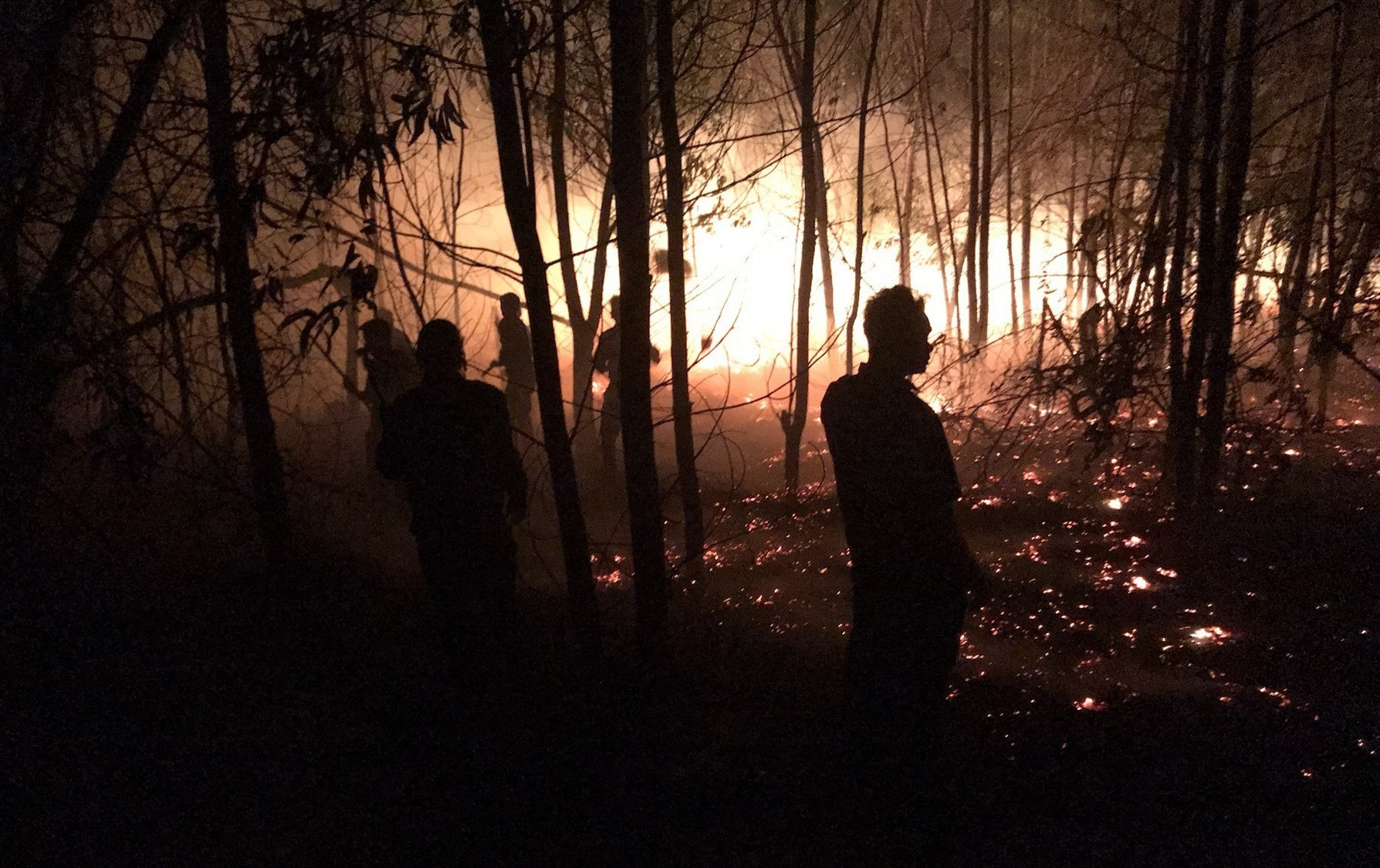Khu vực rừng trồng xã Bình Minh, huyện Thăng Bình bị cháy. Ảnh: HOÀI AN