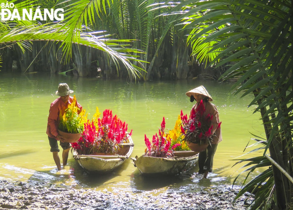 Một góc xuân trong rừng dừa nước Tịnh Khê.