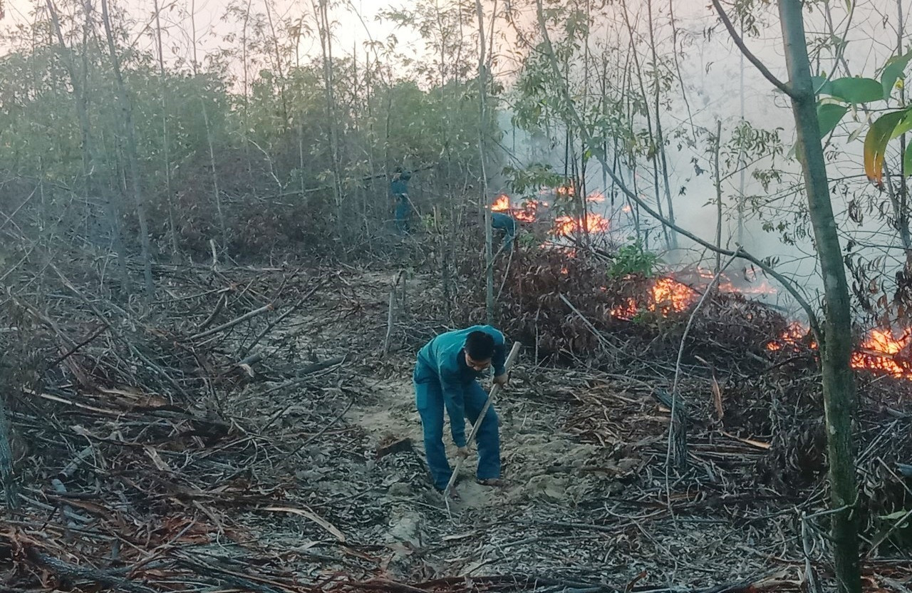 Cháy rừng trồng tại xã Bình Minh (Thăng Bình) vào cuối tháng 2.2021. Ảnh: HOÀI AN
