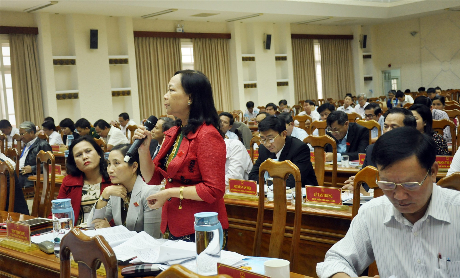 Bà Đặng Thị Minh Nguyệt - Trưởng ban Pháp chế HĐND tỉnh phát biểu tại một kỳ họp HĐND tỉnh. Ảnh: ĐOAN ANH