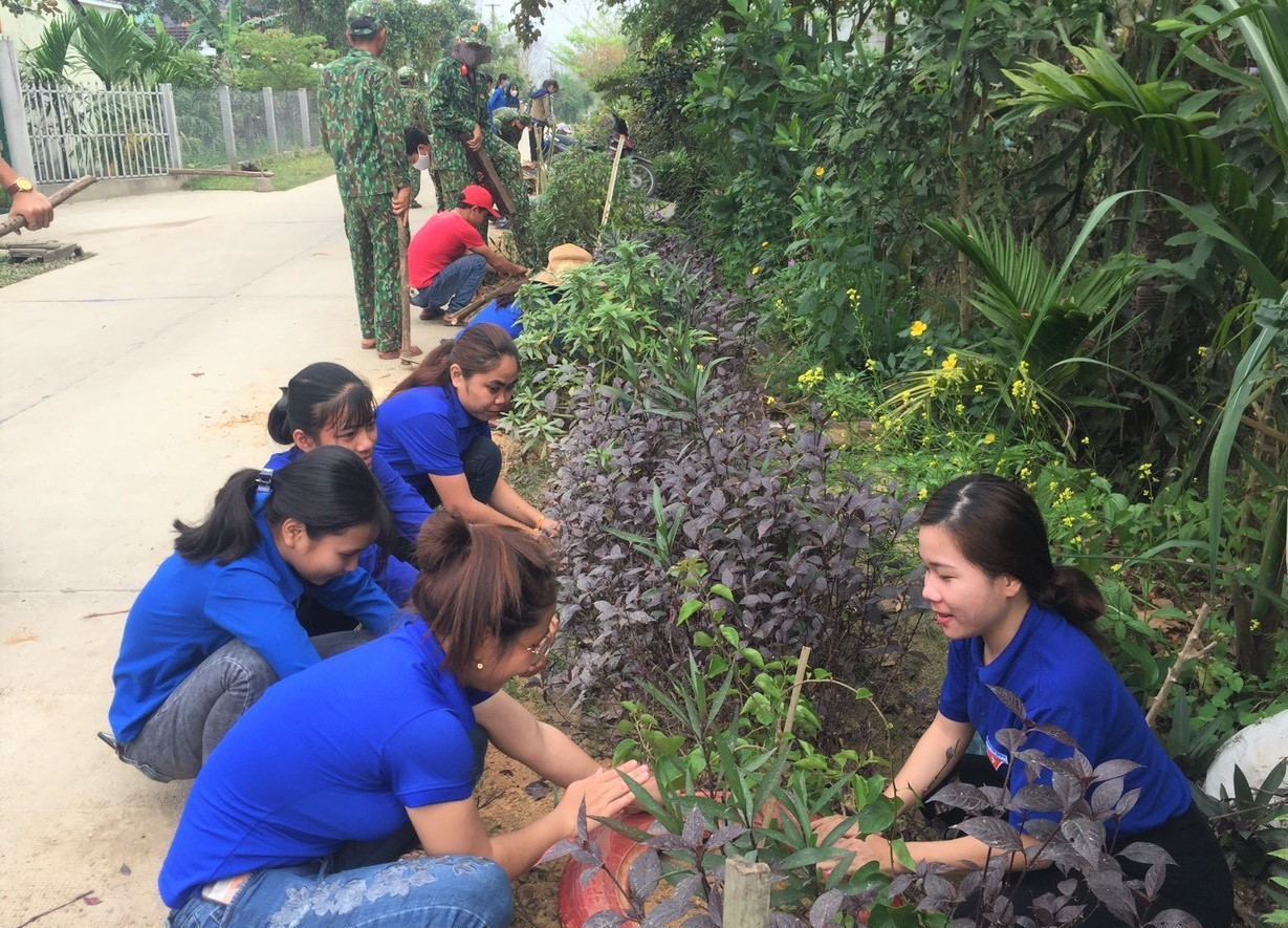 Thanh niên Phú Ninh ra quân trồng cây xanh tại thôn Xuân Điền. Ảnh: CTV