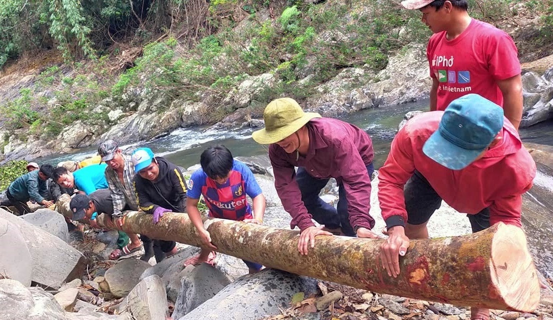 ĐVTN khiêng cây làm cầu tạm qua suối