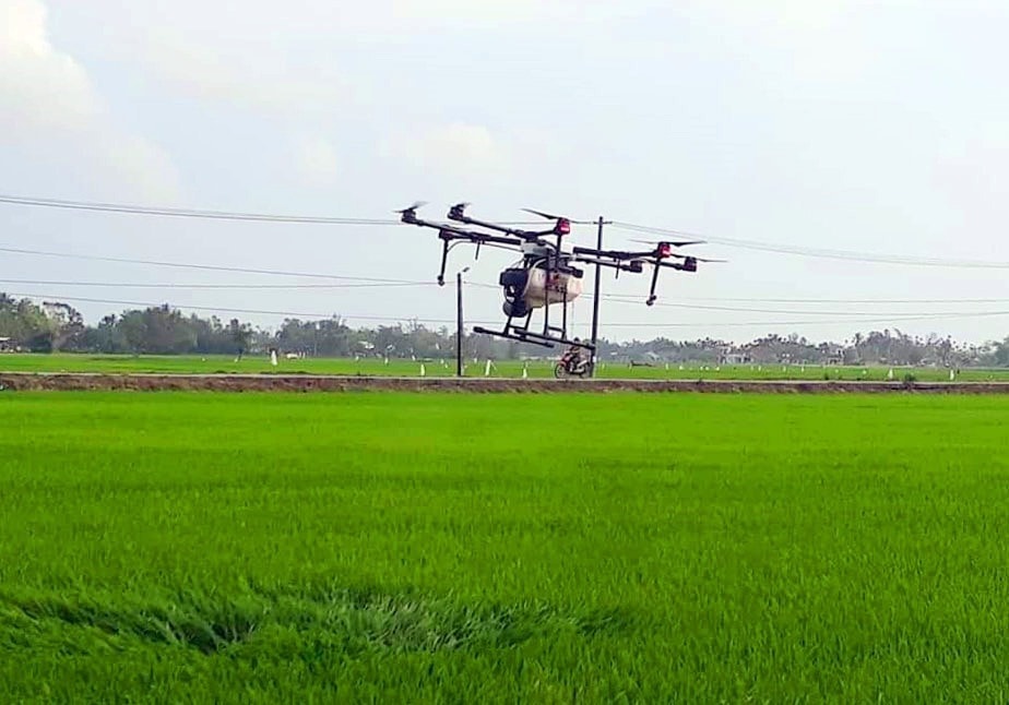 A drone is spraying pesticide on a paddy field in Phu Nam hamlet, Tam Xuan 2 commune, Nui Thanh district, Quang Nam province.