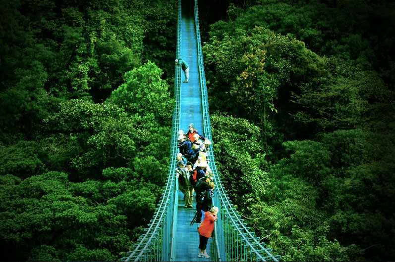 Du lịch sinh thái tại Costa Rica. Ảnh: news.co.cr