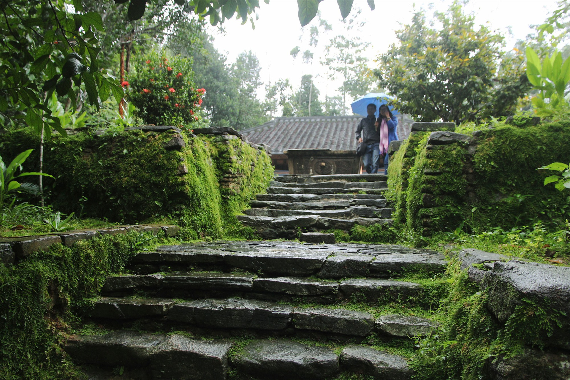 A mossy stone alley leading to an ancient house
