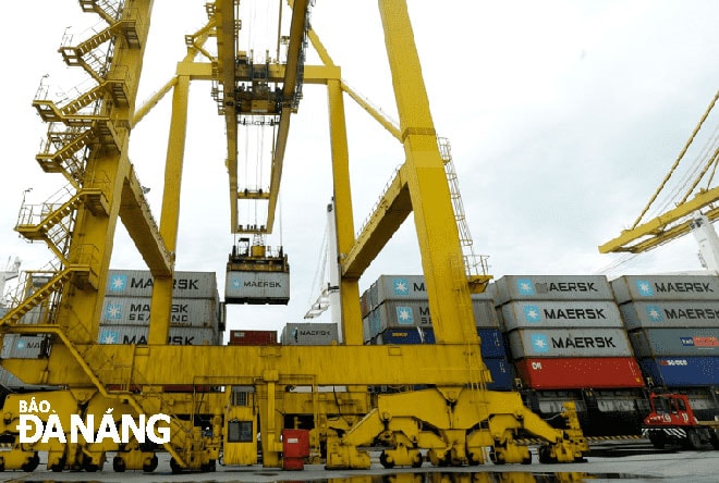 Khi cước vận tải biển tăng cao, doanh nghiệp đã chủ động tìm nguồn hàng trong nước. Trong ảnh: Vận chuyển hàng hóa tại cảng Đà Nẵng. Ảnh: P.V