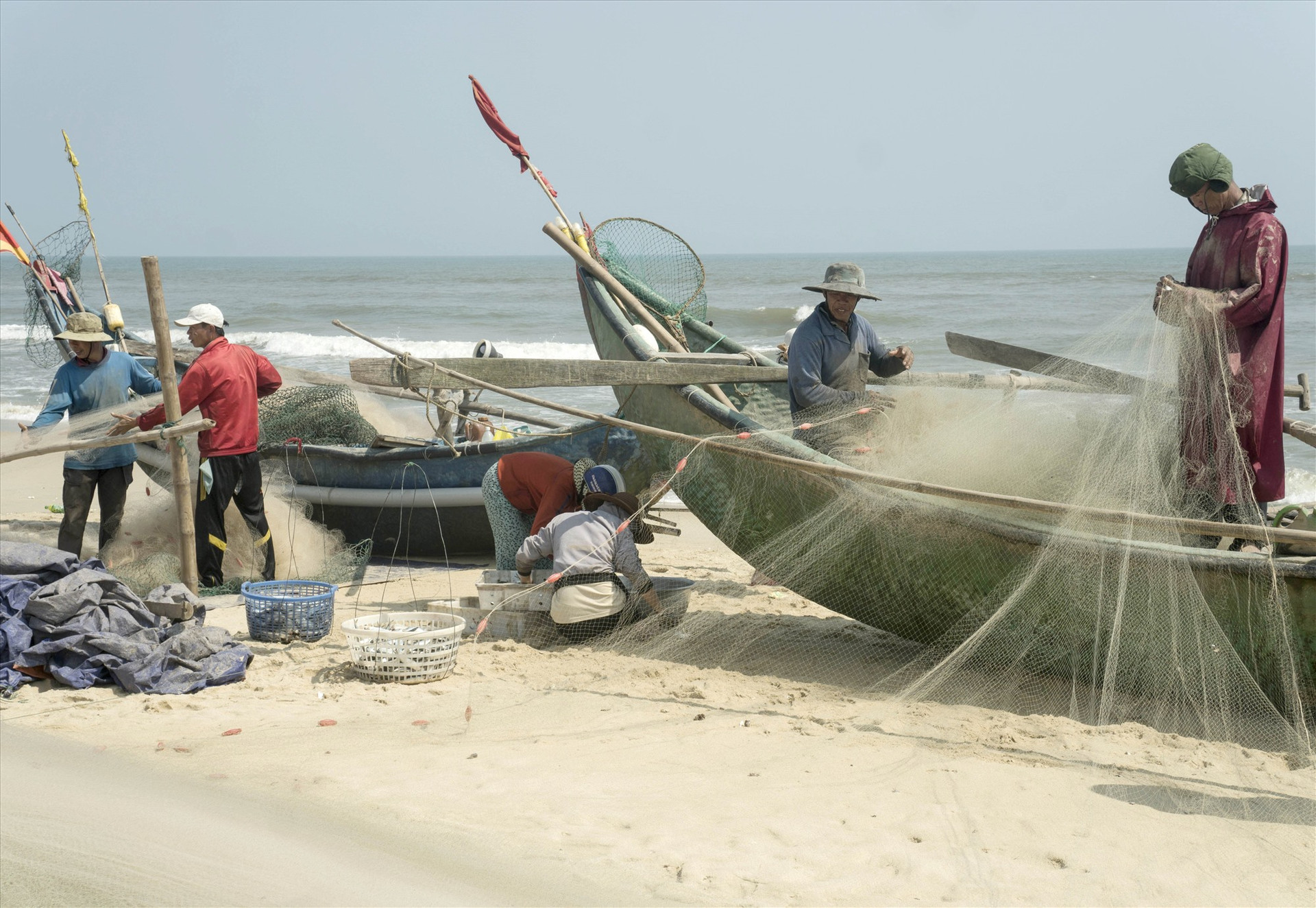 Ngư dân đưa lưới vào bờ gỡ cá trích.