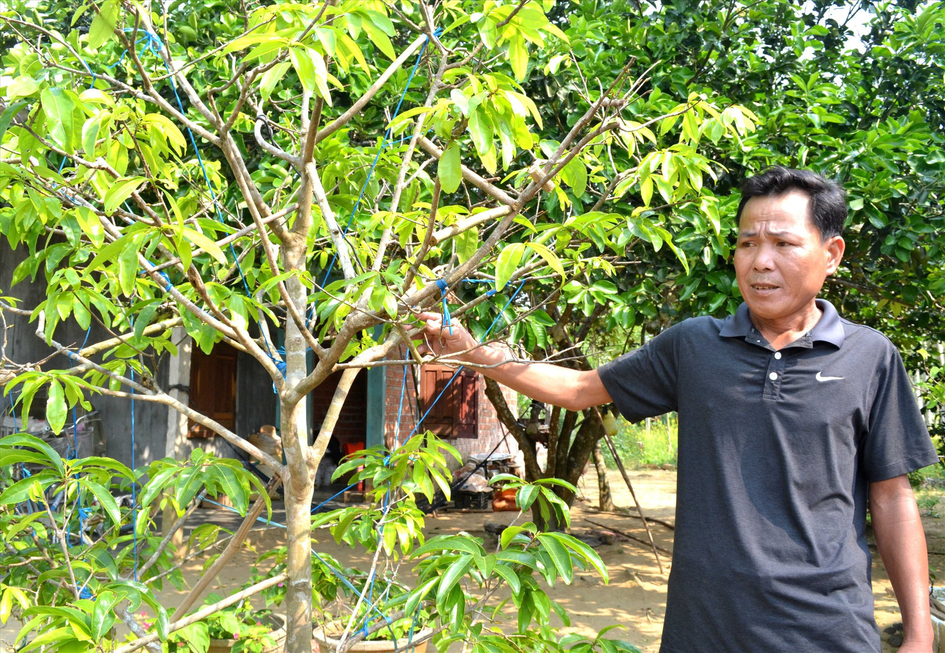 Trồng, chăm sóc cây cảnh giúp gia đình ông Thanh có nguồn thu nhập ổn định. Ảnh: VIỆT NGUYỄN