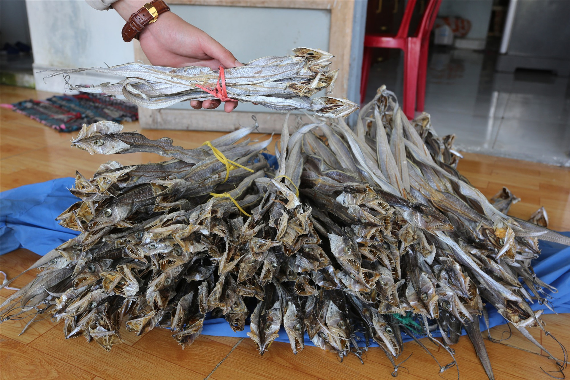 Cá hố sau khi phơi khô được bán với giá dao động từ 70.000 - 200.000 đồng/kg.